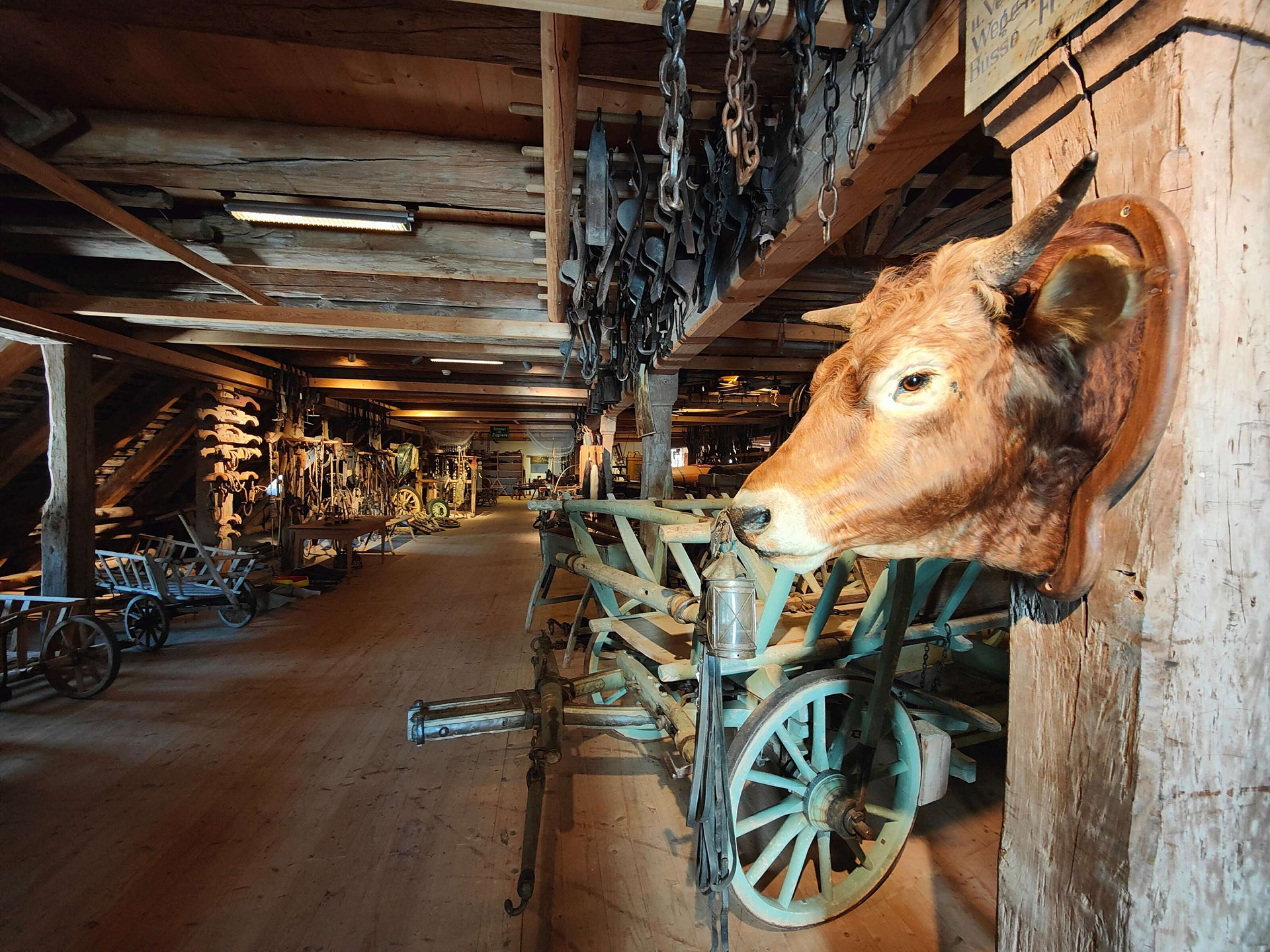 Historisches Museum Thurgau  im Schaudepot St. Katharinental Bild 2