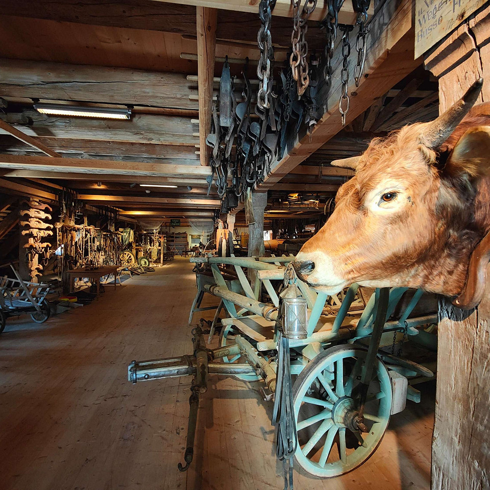 Historisches Museum Thurgau  im Schaudepot St. Katharinental Bild 2