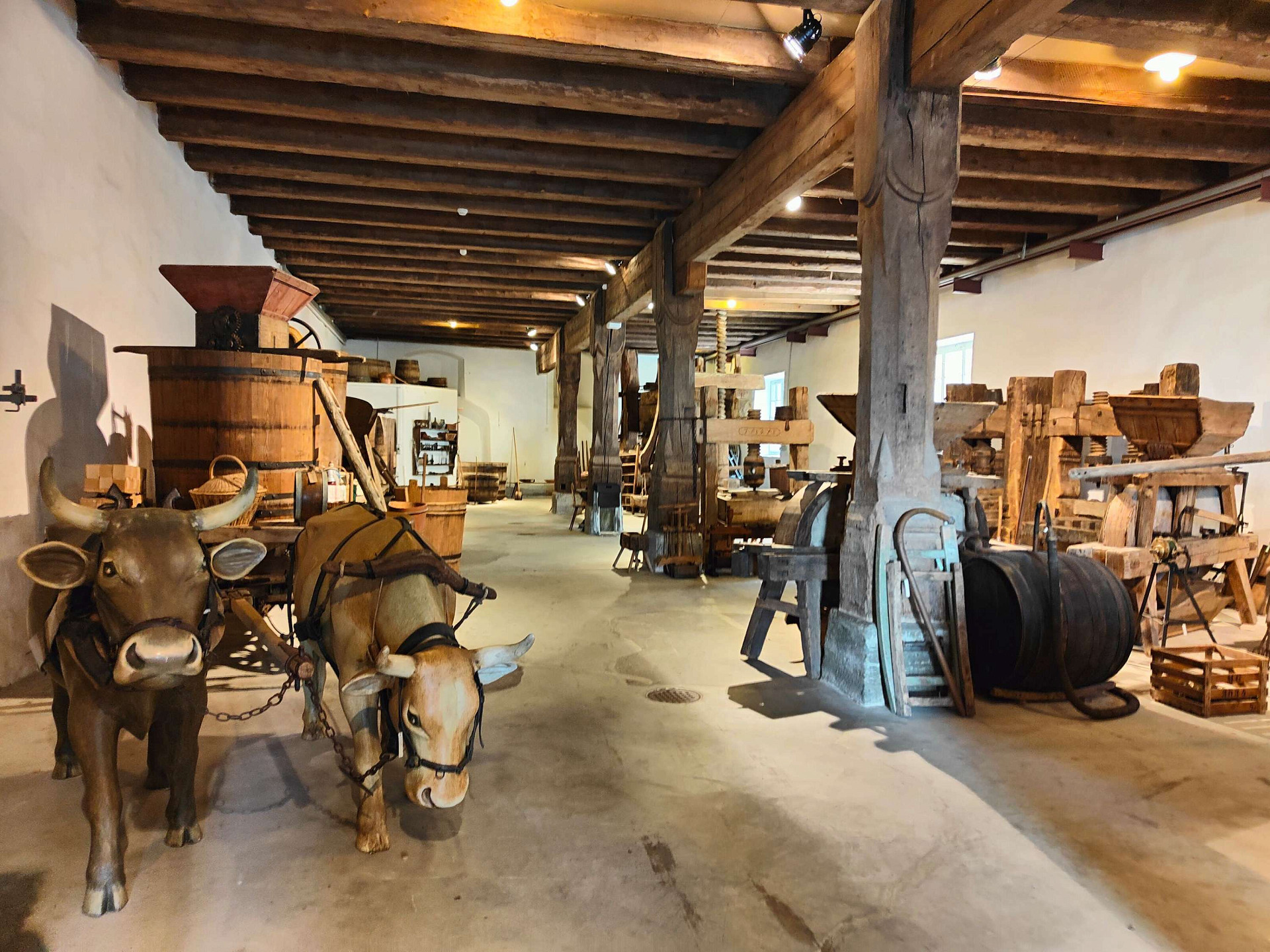 Historisches Museum Thurgau  im Schaudepot St. Katharinental Bild 1