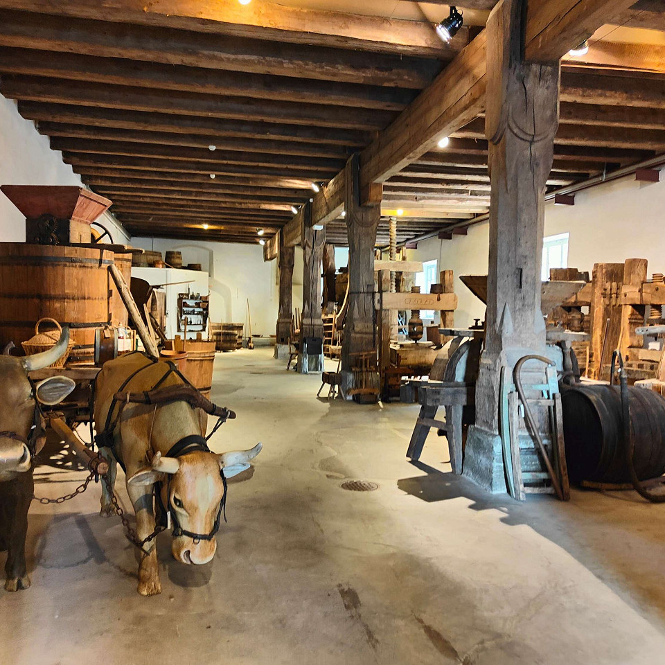 Historisches Museum Thurgau  im Schaudepot St. Katharinental Bild 1