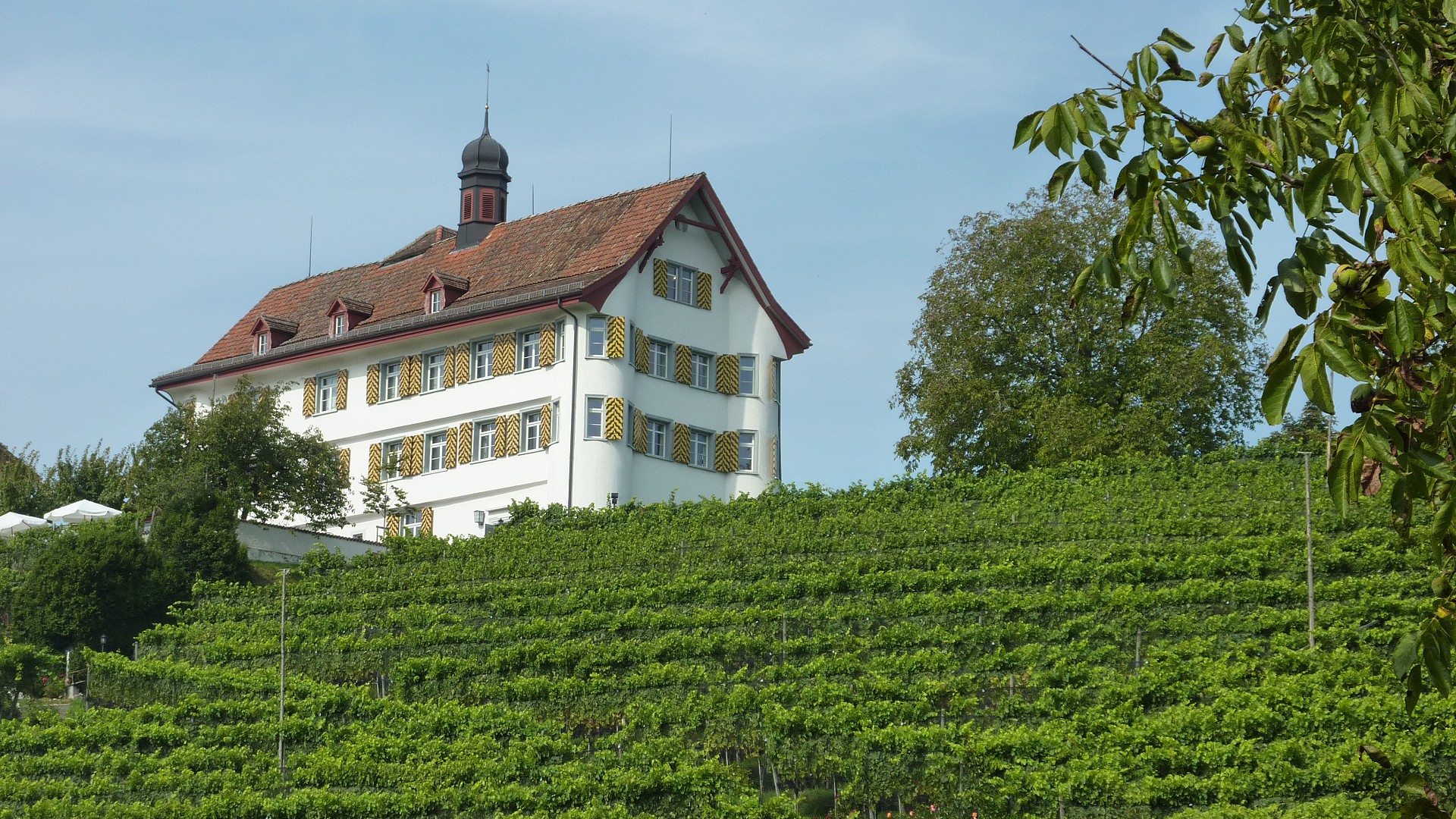 
        Museum Wittenbach Schloss Dottenwil
        Bild 1